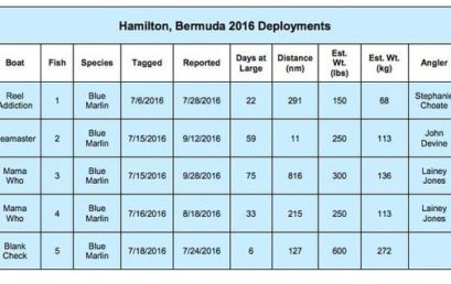 2016 Bermuda IGFA Great Marlin Race Report