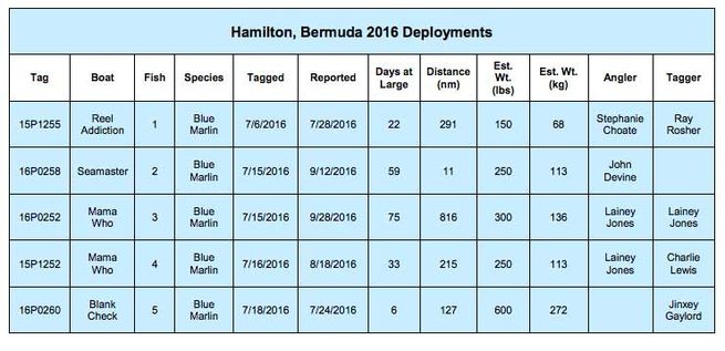 2016 Bermuda IGFA Great Marlin Race Report
