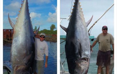 Bermuda Bluefin Tuna Records