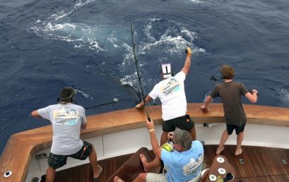 Bermuda Billfish Blast Line and Leader Updates for 2018